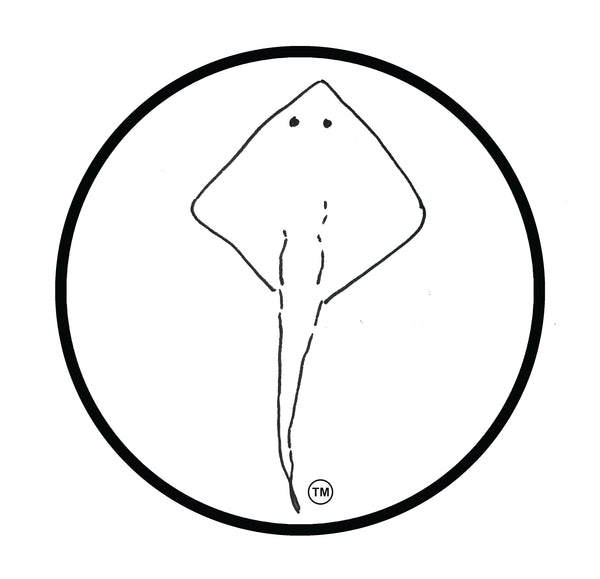 Skateunit11